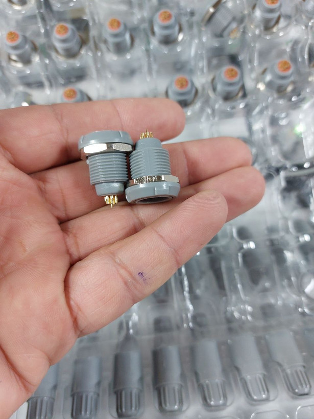 کلی دسته پلاژن